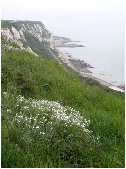 View from cliff path