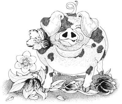 Gardener and Hog