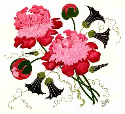 Peonies