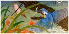 birds