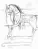 Rocking Horse