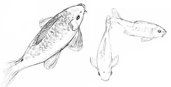 Carp, Barbican