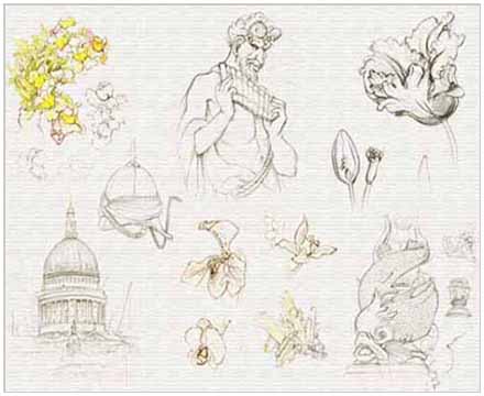 sketches