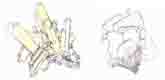 Baryte