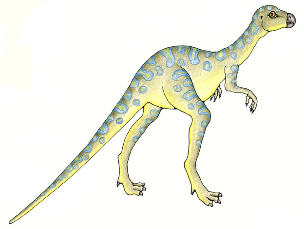 Orodromeus